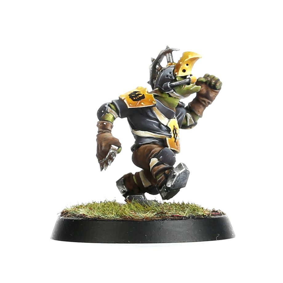 Blood Bowl Goblin Team