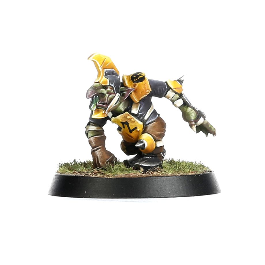 Blood Bowl Goblin Team