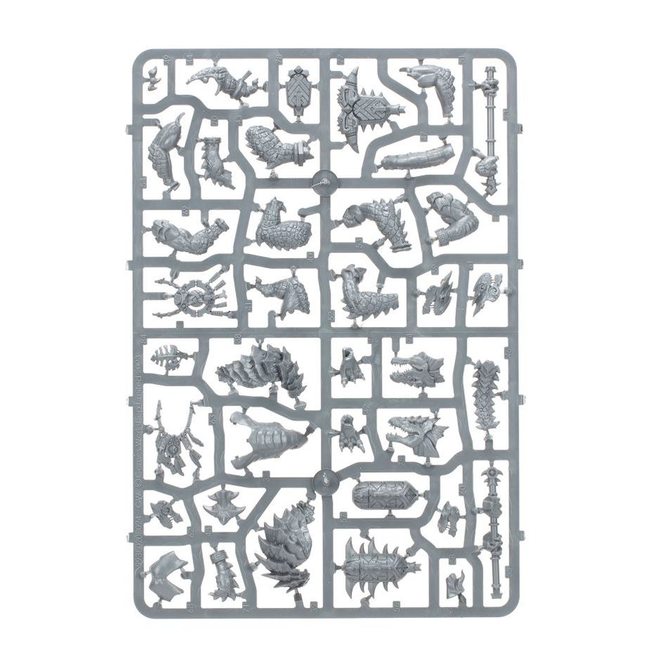 Age of Sigmar Spearhead Seraphon