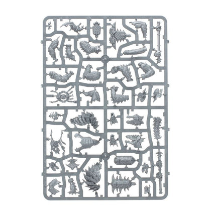 Age of Sigmar Spearhead Seraphon