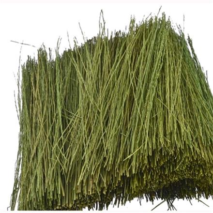 JTT Feild Grass Light green 15g